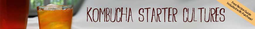 Kombucha Cultures