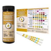 12 Parameter Urine Test Strips Kidney Function & Diabetes Screening (Microalbumin, Creatinine, Protein, Glucose, Ketones, Blood)