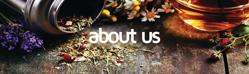 the nutrition store about us