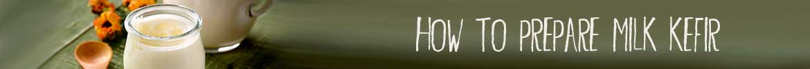 milk kefir